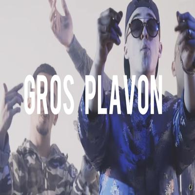 Gros plavon's cover