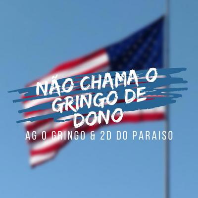 NÃO CHAMA O GRINGO DE DONO By DJ AG O GRINGO, DJ 2D DO PARAÍSO's cover