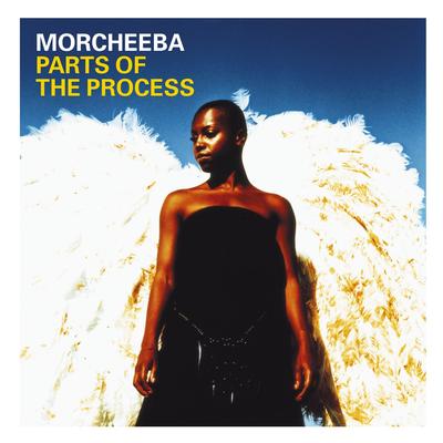 Parts of the Process's cover