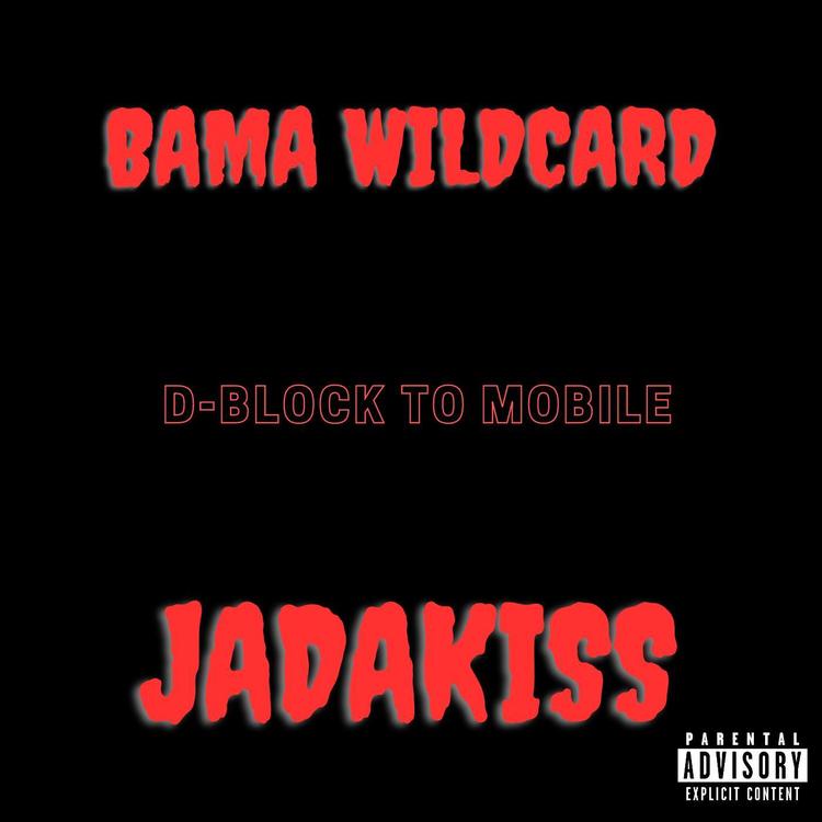 Bama Wildcard's avatar image