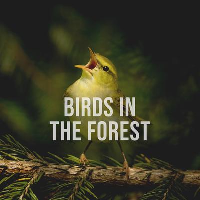 Birds in the Forest, Pt. 10's cover