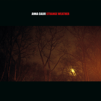 Papi Pacify (Strange Weather EP) By Anna Calvi's cover