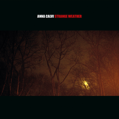 Strange Weather By Anna Calvi, David Byrne's cover