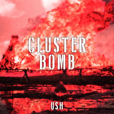 Cluster Bomb By USH's cover
