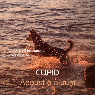 Cupid (Acoustic) By Dragon Stone's cover