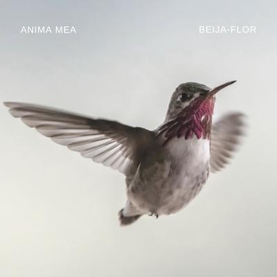Beija-Flor By Anima Mea's cover