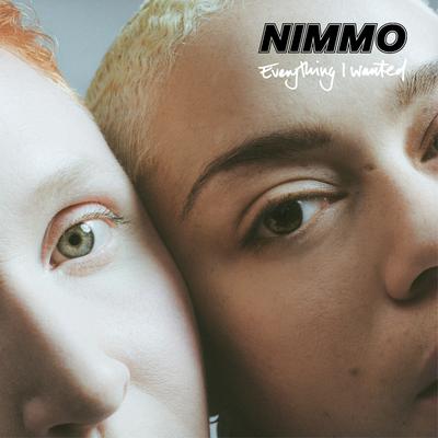 Everything I Wanted By Nimmo's cover