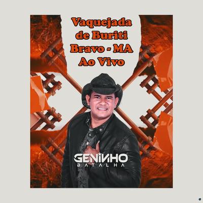 Viajante Caminhoneiro (Ao Vivo) By Geninho Batalha's cover