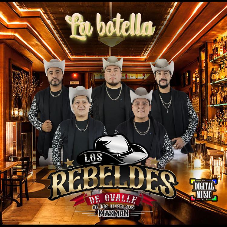 Los Rebeldes de Ovalle's avatar image