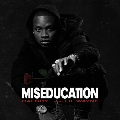 Miseducation (feat. Lil Wayne)'s cover