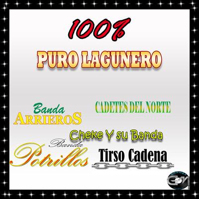 Puro Lagunero 100% Vol.1's cover