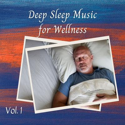 Deep Sleep Music for Wellness Vol. 1's cover