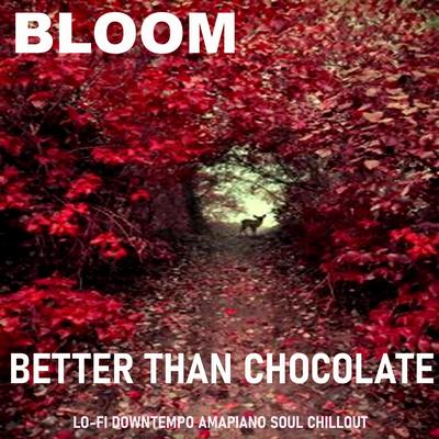 Hey Yo By Better Than Chocolate's cover