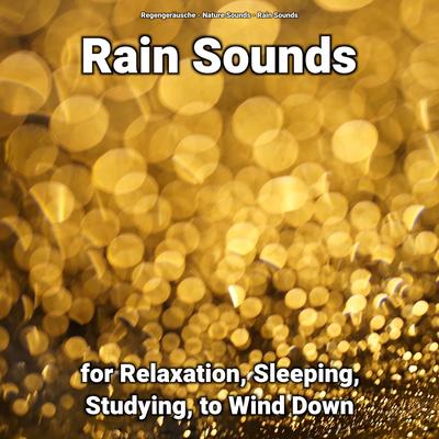 Rain Sounds for Reading's cover