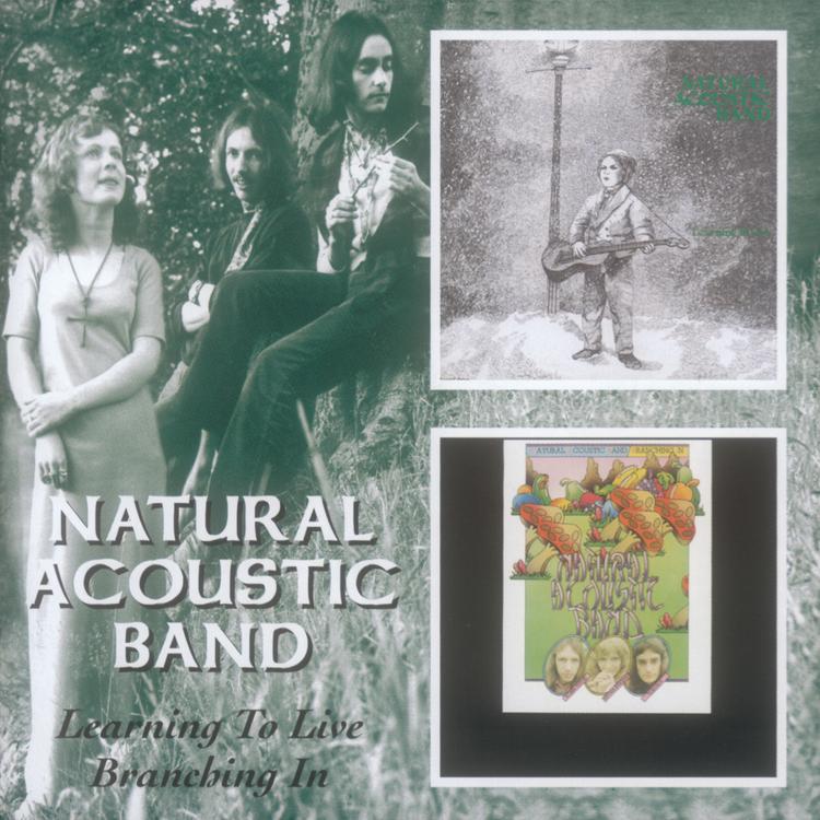 Natural Acoustic Band's avatar image