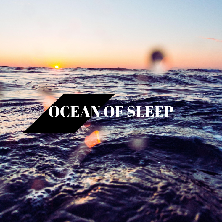 Waves Of Sleep's avatar image