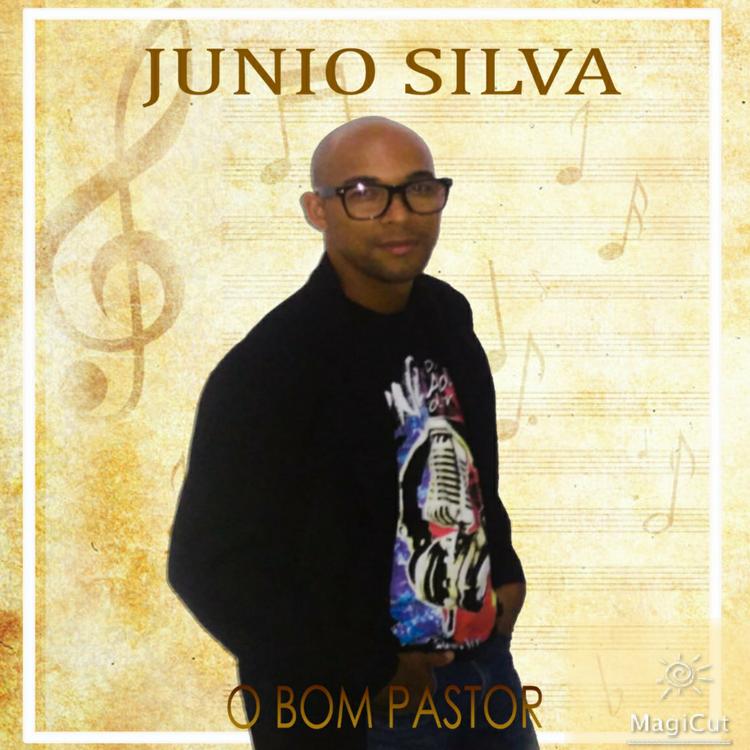 Junio Silva dos Santos's avatar image