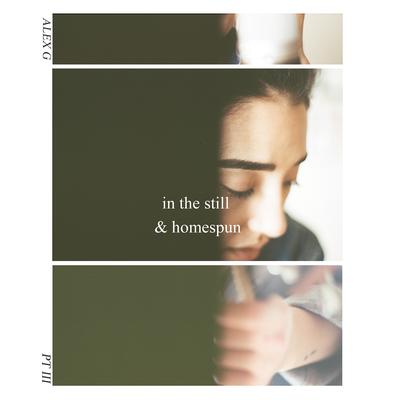 In the Still & Homespun Pt. III - EP's cover