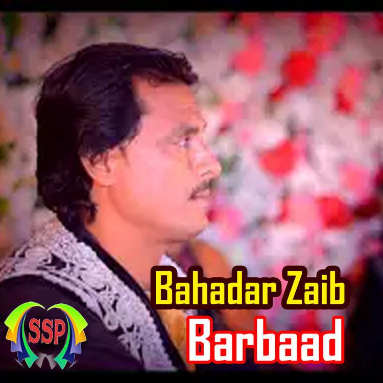 Bahadar Zaib's avatar image