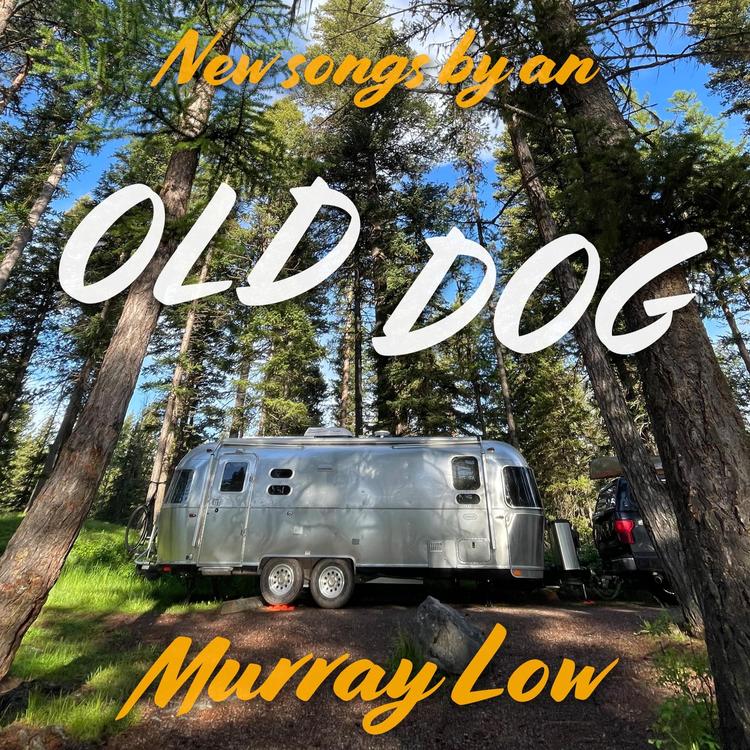 Murray Low's avatar image