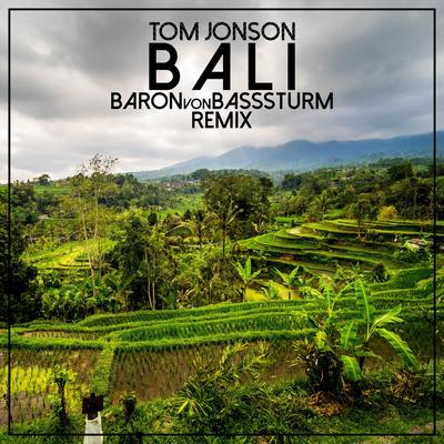 Bali (Baron von BASSsturm Remix)'s cover