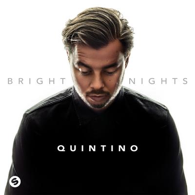 Party Never Ends By Alok, Quintino's cover