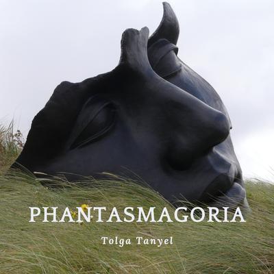 Phantasmagoria By Tolga Tanyel's cover