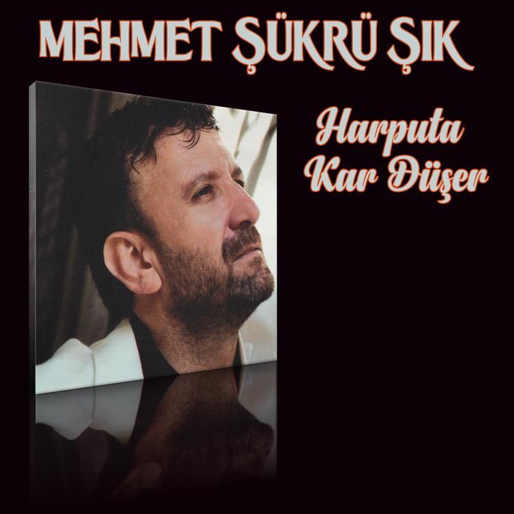 Mehmet Şükrü Şık's avatar image