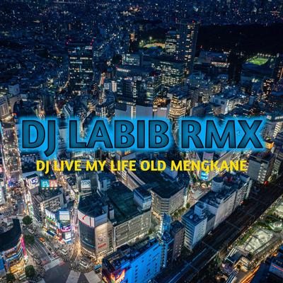 Dj Labib Rmx's cover