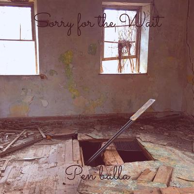 Sorry for the Wait By Pen balla's cover