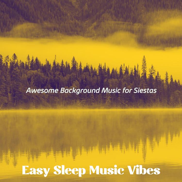 Easy Sleep Music Vibes's avatar image