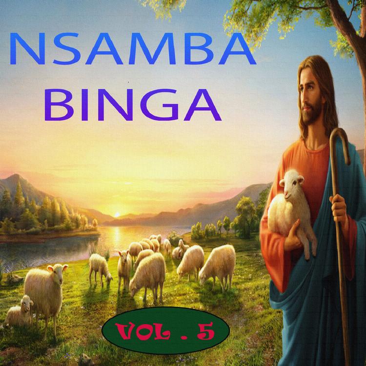 Nsamba Binga's avatar image