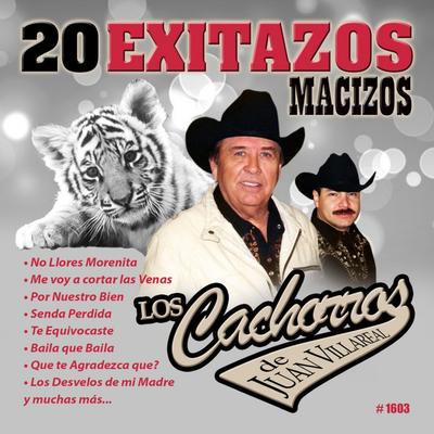 20 Exitazos Macizos's cover