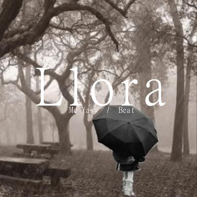 Llora (Instrumental)'s cover