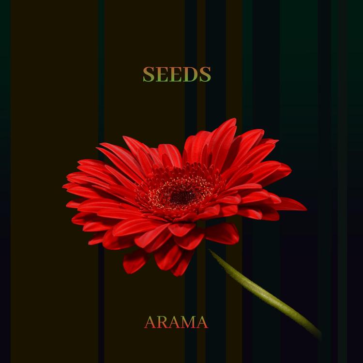 Arama's avatar image