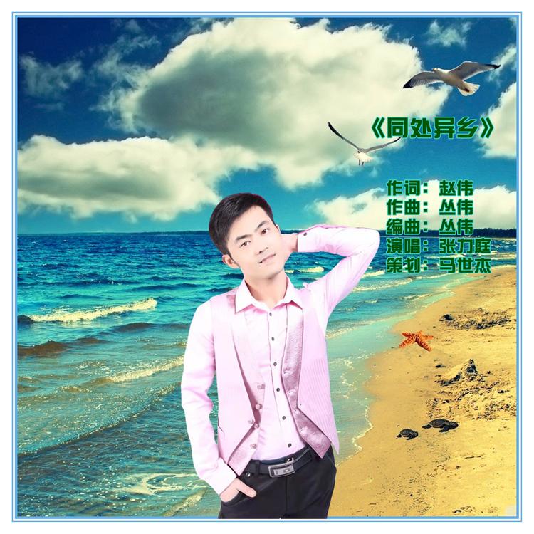 张力庭's avatar image