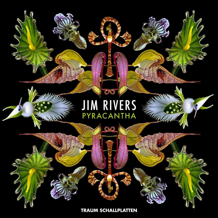Jim Rivers's avatar image