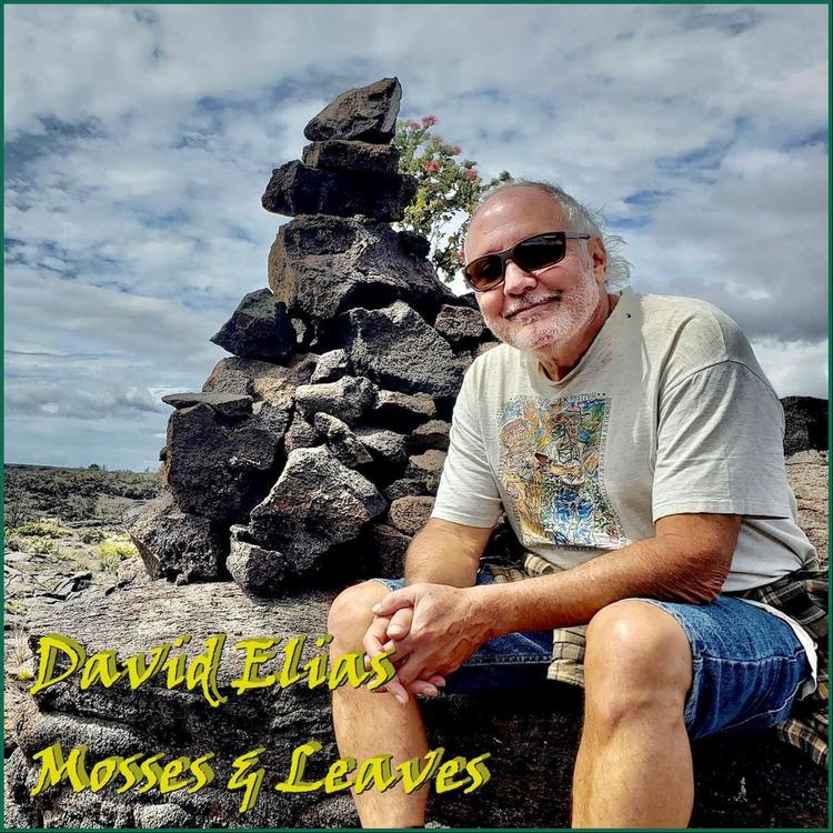 David Elias's avatar image