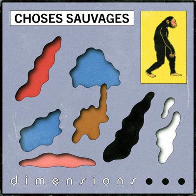 Dimensions By Choses Sauvages's cover