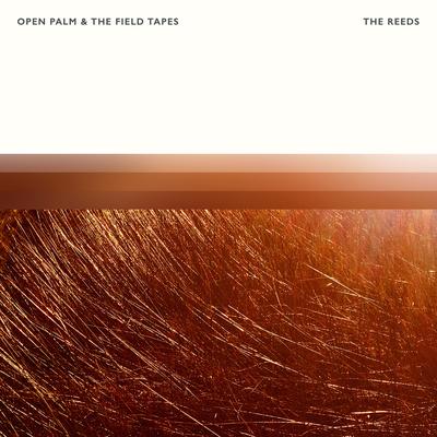 Nightbreak By Open Palm, The Field Tapes's cover