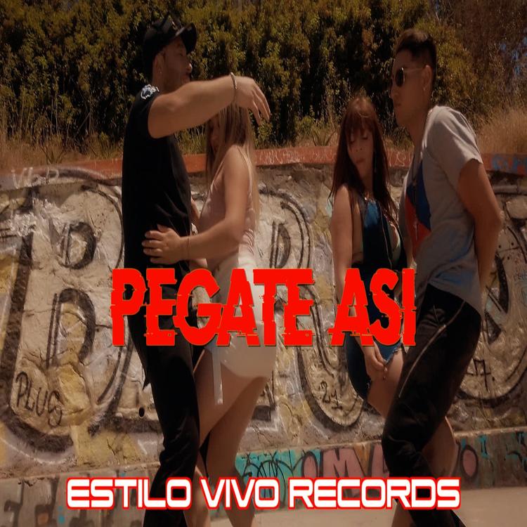 Estilo Vivo Records's avatar image