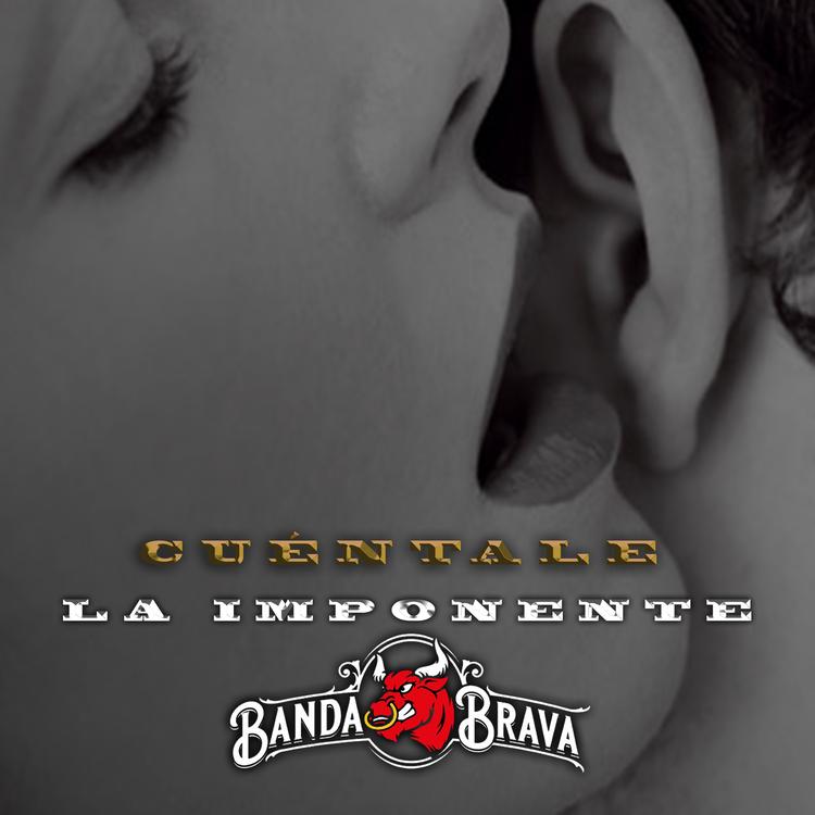 La Imponente Banda Brava's avatar image