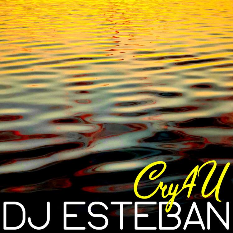 DJ Esteban's avatar image