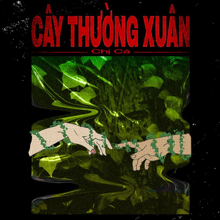 Chị Cả's avatar image