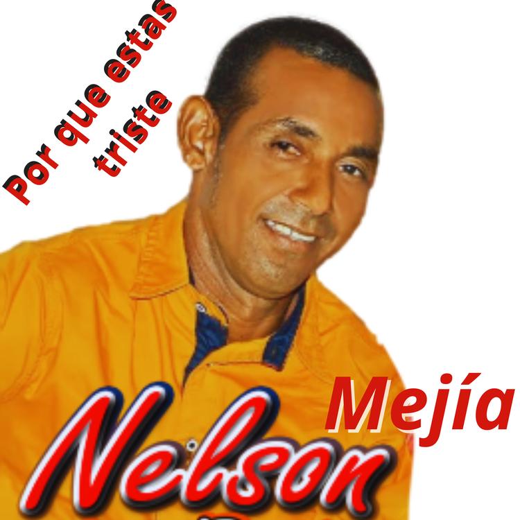 Nelson Mejia's avatar image