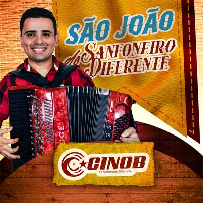São João do Sanfoneiro Diferente (Cover)'s cover