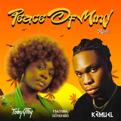Peace of Mind (Remix) By Toby Grey, Kemuel, Mamba Sounds's cover