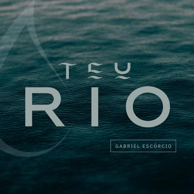 Teu Rio's cover