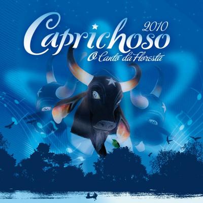 Eu Te Amo Caprichoso By Boi Bumbá Caprichoso's cover