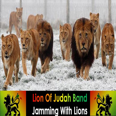 Jamming With Lions's cover